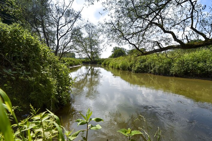 Flusslandschaft