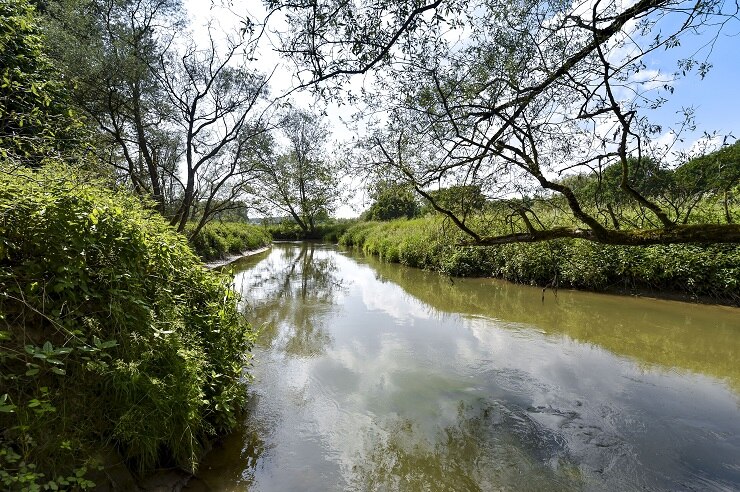 Flusslandschaft