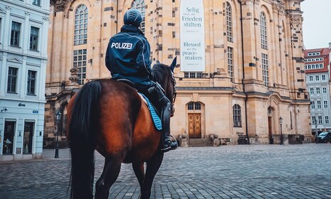 Polizeipferd vor der Frauenkirche